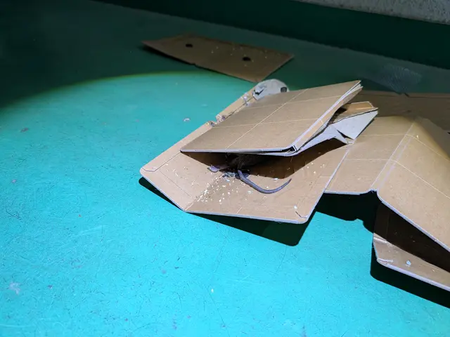 ◆調査お見積もり完全無料◆最短当日施工可能！侵入口徹底閉鎖&必ず完全駆除します！サービスの画像