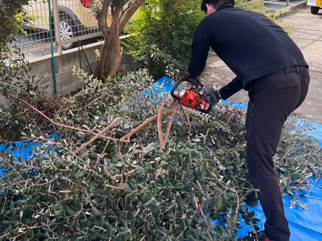 庭木のお手入れおまかせください！◎お見積もり・ご相談無料◎サービスの画像