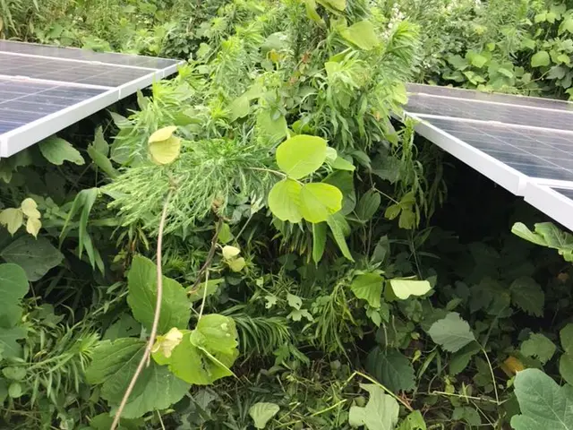 リピーターのお客様のみ対応です。サービスの画像