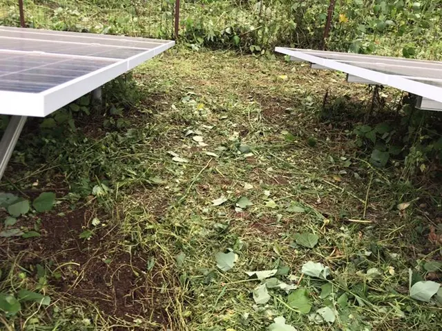 リピーターのお客様のみ対応です。サービスの画像