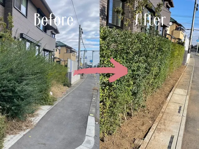 印象を高める景観管理剪定。美しい姿に仕上げます。サービスの画像