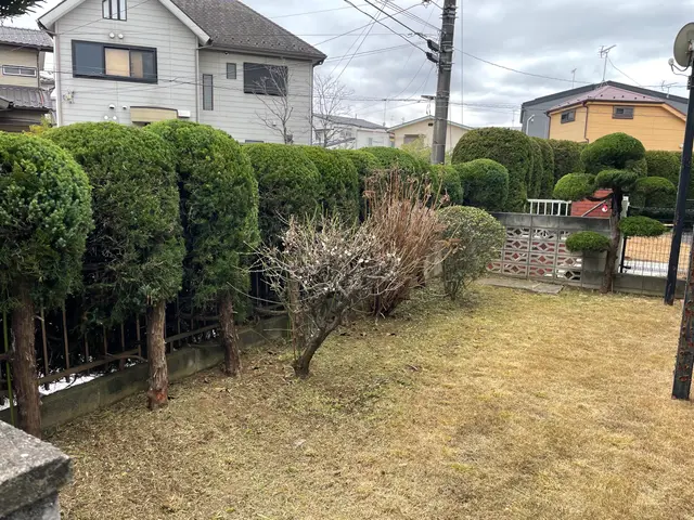 印象を高める景観管理剪定。美しい姿に仕上げます。サービスの画像