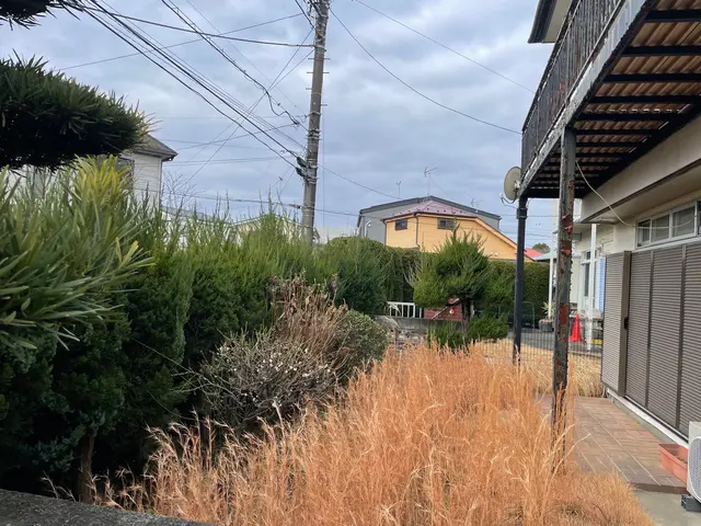 印象を高める景観管理剪定。美しい姿に仕上げます。サービスの画像