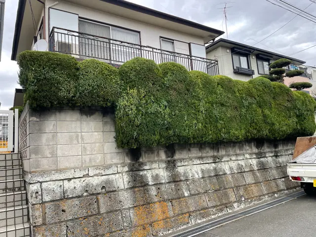 印象を高める景観管理剪定。美しい姿に仕上げます。サービスの画像