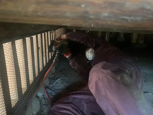 《ネズミ駆除歴10年》侵入口を徹底封鎖します◎さらに施工後の保証付きで安心◎サービスの画像