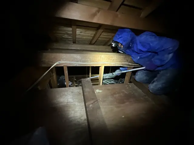 《ネズミ駆除歴10年》侵入口を徹底封鎖します◎さらに施工後の保証付きで安心◎サービスの画像