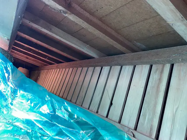 《ネズミ駆除歴10年》侵入口を徹底封鎖します◎さらに施工後の保証付きで安心◎サービスの画像