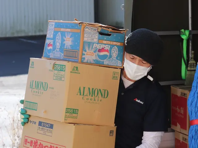 【静岡発】2名作業、高さ180冷蔵庫対応、洗濯機外し設置無料、損害保険加入済み！サービスの画像