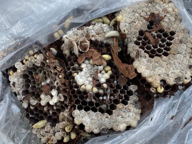 【外注ゼロ・保険完備◎】「また頼みたい」を目指して精一杯対応！女性スタッフ同行◎サービスの画像