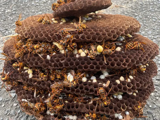 【外注ゼロ・保険完備◎】「また頼みたい」を目指して精一杯対応！女性スタッフ同行◎サービスの画像