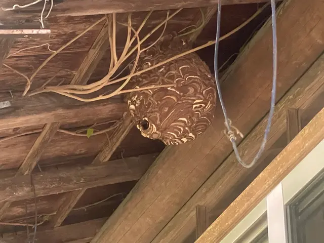 【外注ゼロ・保険完備◎】「また頼みたい」を目指して精一杯対応！女性スタッフ同行◎サービスの画像