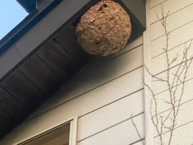 【外注ゼロ・保険完備◎】「また頼みたい」を目指して精一杯対応！女性スタッフ同行◎サービスの画像