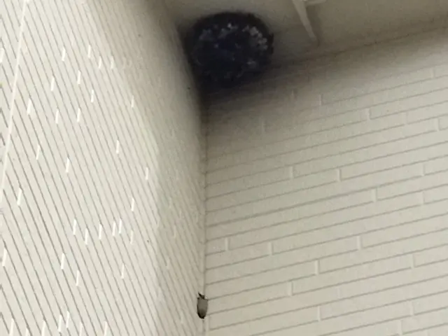 【外注ゼロ・保険完備◎】「また頼みたい」を目指して精一杯対応！女性スタッフ同行◎サービスの画像