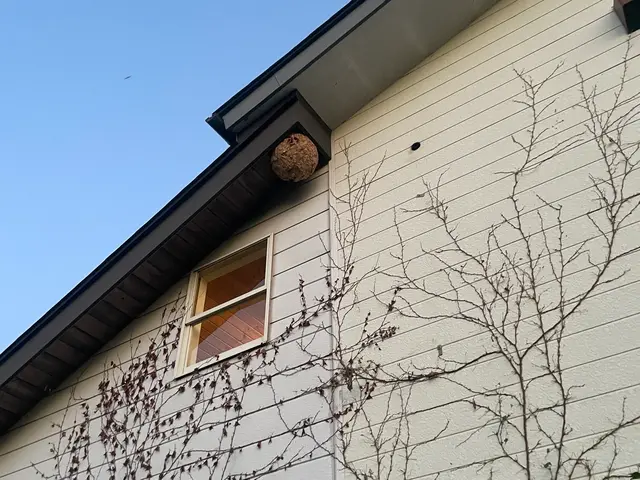 【外注ゼロ・保険完備◎】「また頼みたい」を目指して精一杯対応！女性スタッフ同行◎サービスの画像