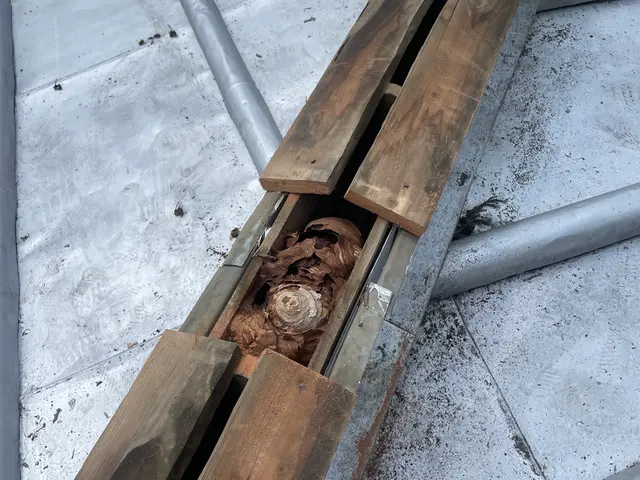 【外注ゼロ・保険完備◎】「また頼みたい」を目指して精一杯対応！女性スタッフ同行◎サービスの画像