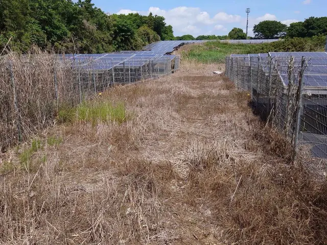 除草剤撒布になります。草刈りは致しません。撒布後7日から10日ほどで枯れます。サービスの画像