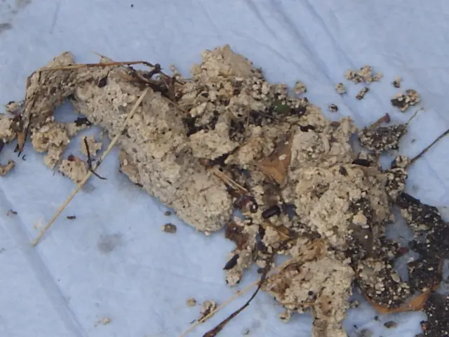 【親切・丁寧】損害保険加入済み◎作業外注一切なし！アフターケアーも万全サービスの画像