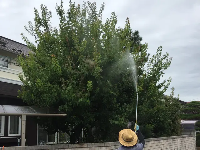 【地域密着・土曜も営業！】経験豊富な庭師による丁寧な駆除作業◆損保加入済サービスの画像