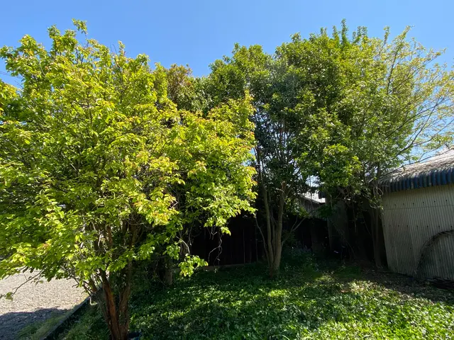 【創業78年】1本ずつ丁寧に安全に❝自社作業❞いたします★クレジットカードOK★サービスの画像