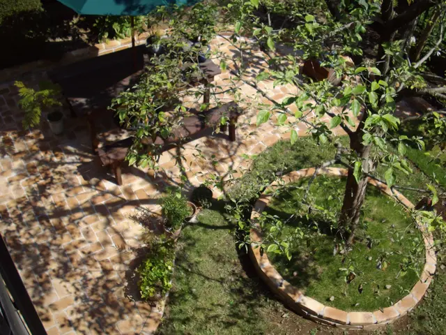 丁寧な作業と親しみやすい人柄で、お客様の大切家を心を込めて対応サービスの画像