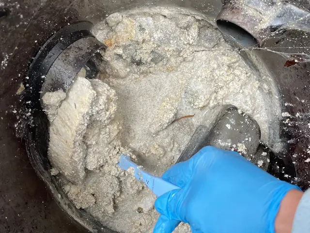 ◉年間800件の作業実績。日本一の接客サービスに努めます！1年間の保証有り。サービスの画像