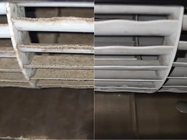 【猫好き★秋田出身25歳】年内限定★複数台で6,000円★60℃温水高圧洗浄サービスの画像