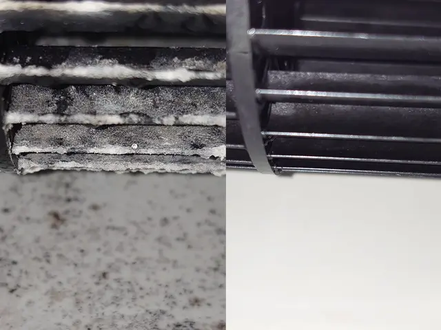 【猫好き★秋田出身25歳】年内限定★複数台で6,000円★60℃温水高圧洗浄サービスの画像