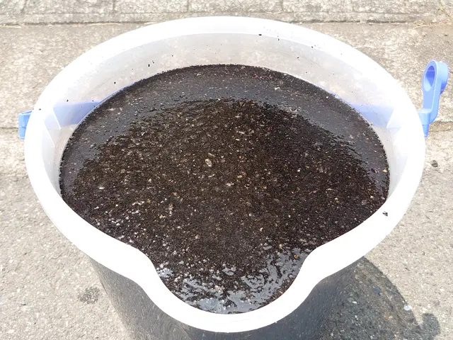 【猫好き★秋田出身25歳】年内限定★複数台で6,000円★60℃温水高圧洗浄サービスの画像