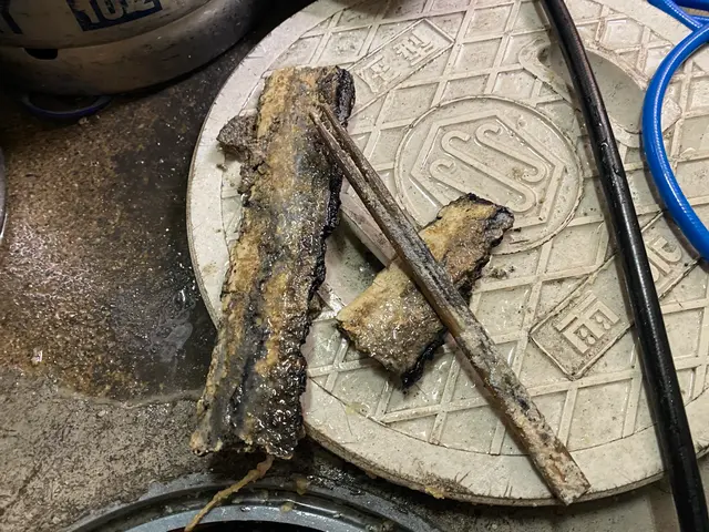 害虫が増える前に対策を！グリストラップは詰まりだけで無く、悪臭や害虫の発生も影響サービスの画像