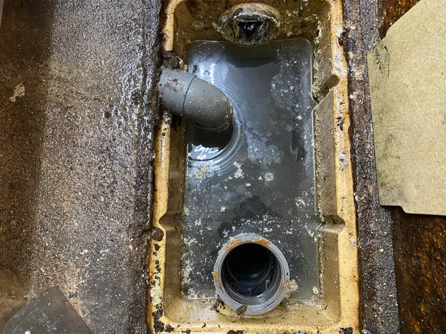 害虫が増える前に対策を！グリストラップは詰まりだけで無く、悪臭や害虫の発生も影響サービスの画像