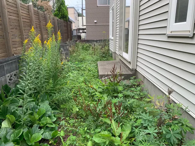 冬を迎える前にスッキリ除草剤散布込！非対面OK！サービスの画像