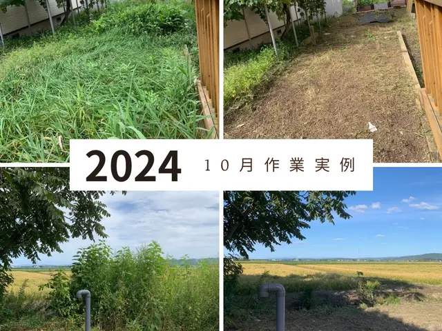 冬を迎える前にスッキリ除草剤散布込！非対面OK！サービスの画像