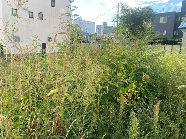 冬を迎える前にスッキリ除草剤散布込！非対面OK！サービスの画像