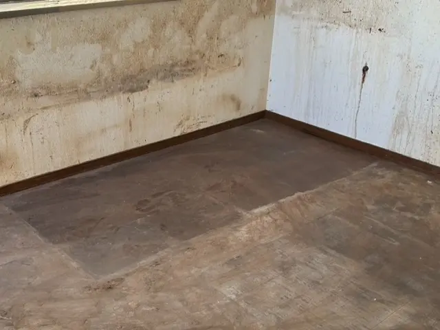 即日対応可能★2名体制★返信速度◎ご予約前にメッセージよりお問い合わせ下さい！サービスの画像