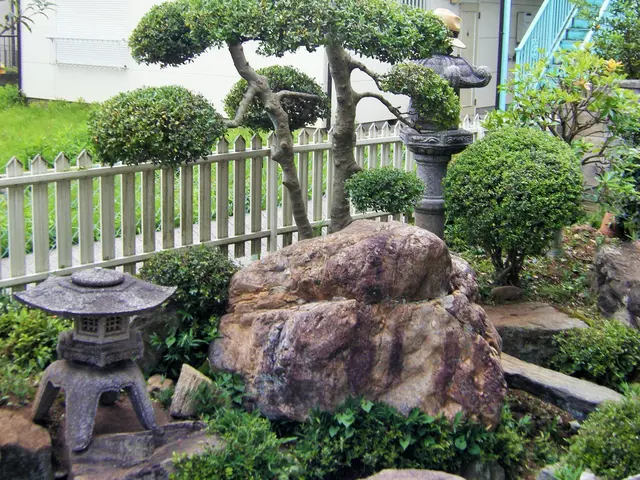 ★庭を彩る上質な庭園管理『 植込みの剪定&生垣の剪定』★慶雲五彩を生ずサービスの画像