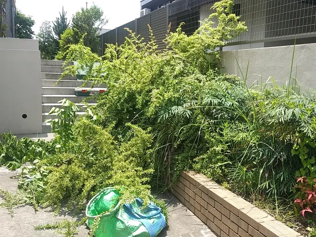 ★庭を彩る上質な庭園管理『 植込みの剪定&生垣の剪定』★慶雲五彩を生ずサービスの画像