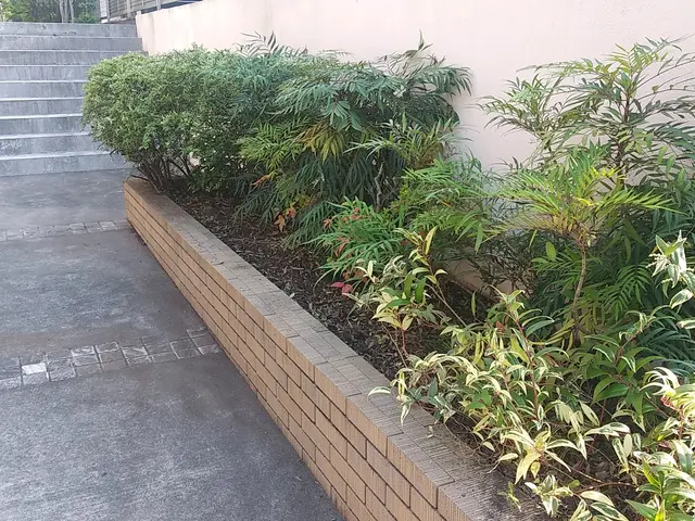 ★庭を彩る上質な庭園管理『 植込みの剪定&生垣の剪定』★慶雲五彩を生ずサービスの画像