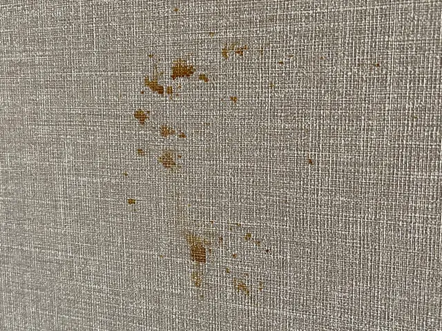 お客様のお力になります！経験と知識を活かして迅速丁寧に作業いたしますサービスの画像