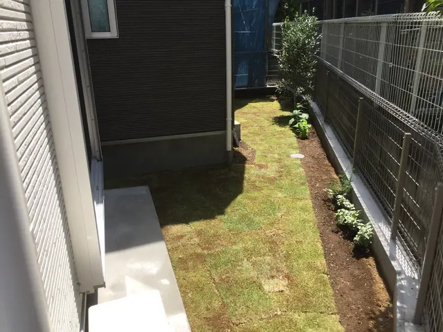 ●土壌改良や抜根も対応可【実績16年】芝生育成方法レクチャー！人工芝も対応★サービスの画像