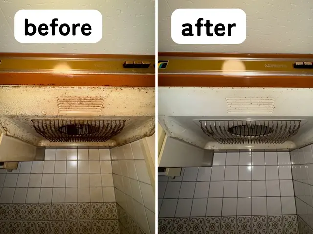 【水回りピカピカ3点セット】大掃除にピッタリ！サービスの画像