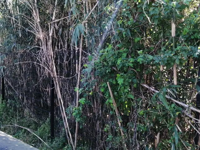 大型案件歓迎！ 原野,太陽光,空家,空地などパワフル作業！安心保険 創業34年サービスの画像