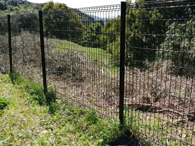 大型案件歓迎！ 原野,太陽光,空家,空地などパワフル作業！安心保険 創業34年サービスの画像