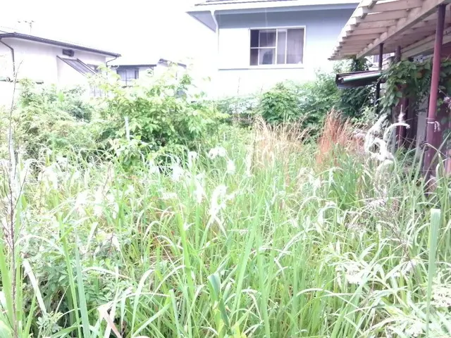 大型案件歓迎！ 原野,太陽光,空家,空地などパワフル作業！安心保険 創業34年サービスの画像