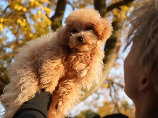 【毎日予約の入る人気店！】安心の若い女性カメラマン◎即返信◎レタッチ込◎