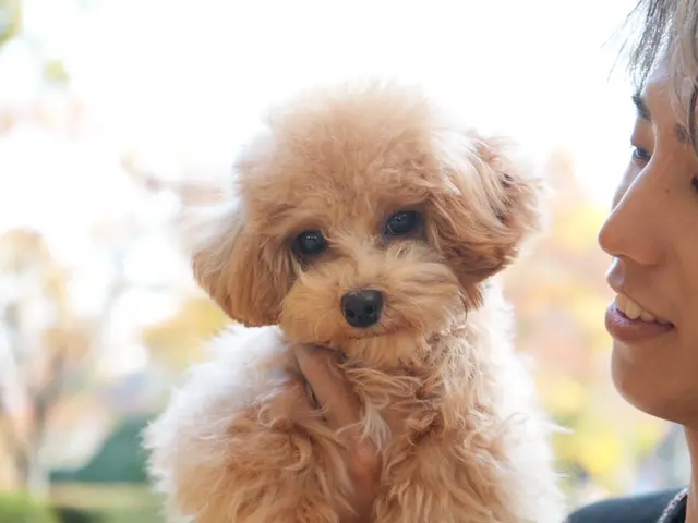 【毎日予約の入る人気店！】安心の若い女性カメラマン◎即返信◎レタッチ込◎