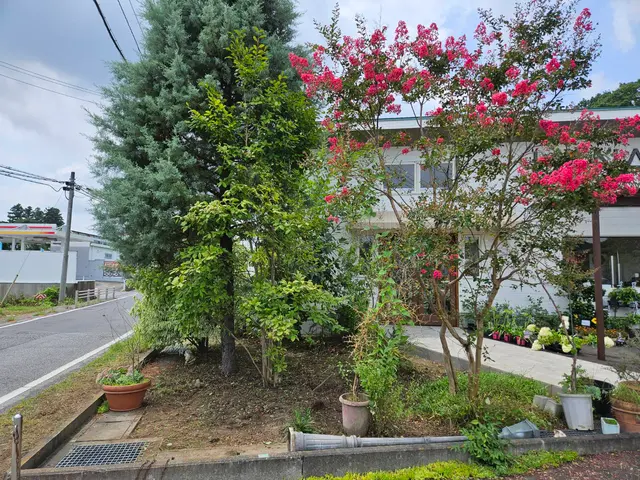 【行政の依頼も受けるプロが訪問】草の種類に応じた作業で根まで撃退！生えにくい！◎サービスの画像