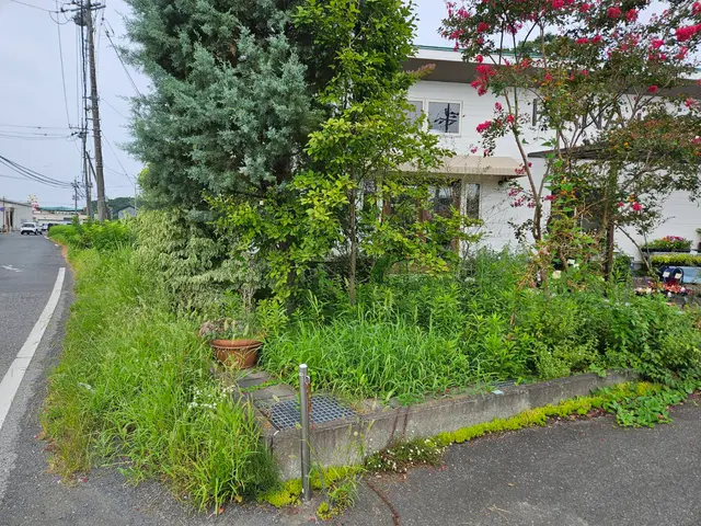 【行政の依頼も受けるプロが訪問】草の種類に応じた作業で根まで撃退！生えにくい！◎サービスの画像