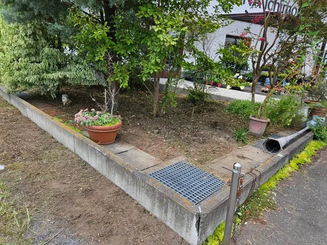 【行政の依頼も受けるプロが訪問】草の種類に応じた作業で根まで撃退！生えにくい！◎サービスの画像