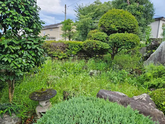 【行政の依頼も受けるプロが訪問】草の種類に応じた作業で根まで撃退！生えにくい！◎サービスの画像