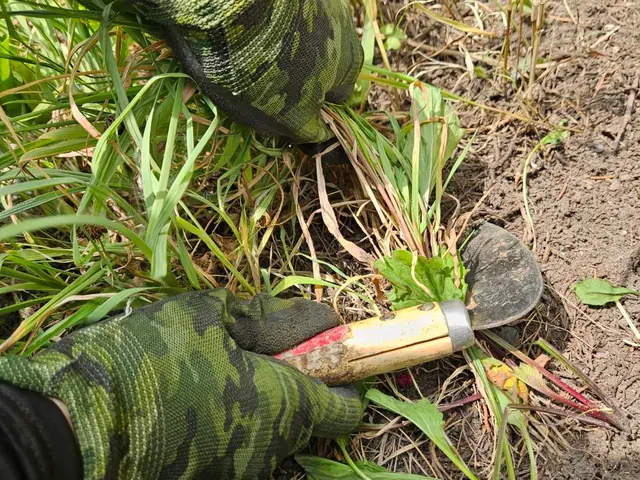 【行政の依頼も受けるプロが訪問】草の種類に応じた作業で根まで撃退！生えにくい！◎サービスの画像
